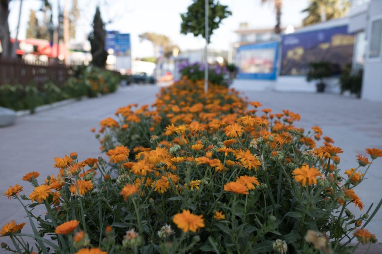 Haniotis Studios Faliraki Dış mekan fotoğraf